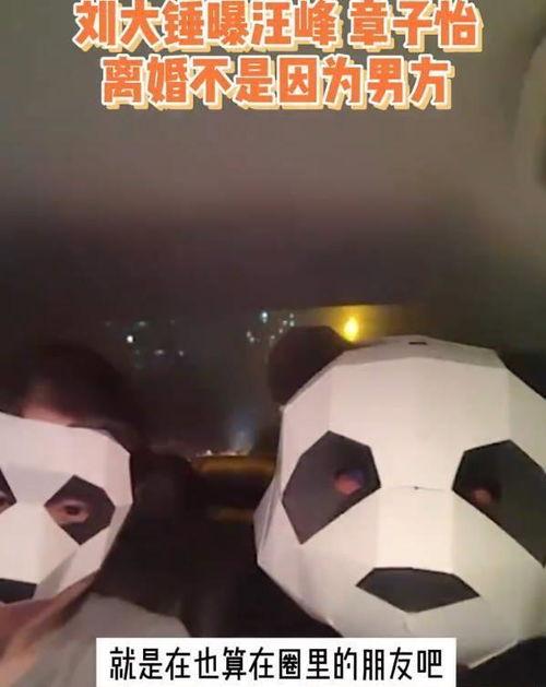 刘大锤爆料婚变视频大全,揭秘娱乐圈夫妻背后的真相