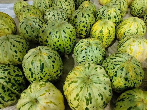 威海吃瓜网红事件,网络舆论的风暴与反思 第3张 威海吃瓜网红事件,网络舆论的风暴与反思 第3张