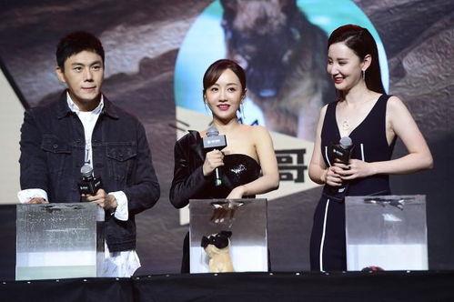 娱乐圈最新吃瓜爆料事件汇总,明星恋情、出轨、撕逼大揭秘! 第1张 娱乐圈最新吃瓜爆料事件汇总,明星恋情、出轨、撕逼大揭秘! 第1张